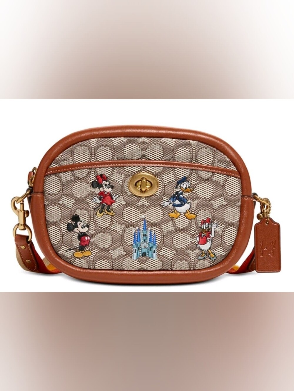 Coach X Disney Signature Canvas Camera Bag W Strap
